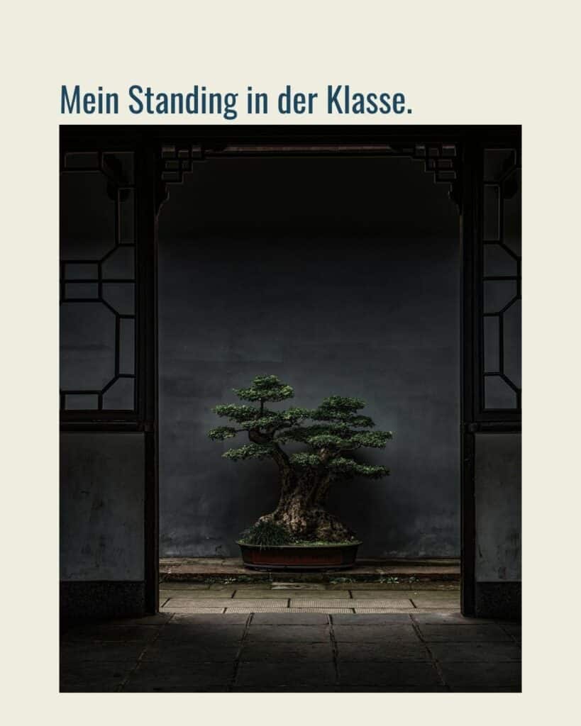 Mein Standing in der Klasse