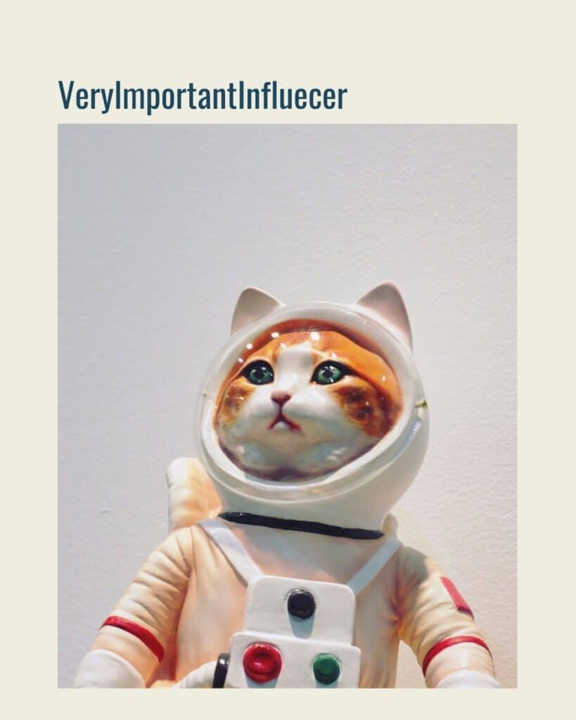 VeryImportantInfluecer